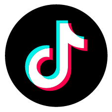 TikTok Icon